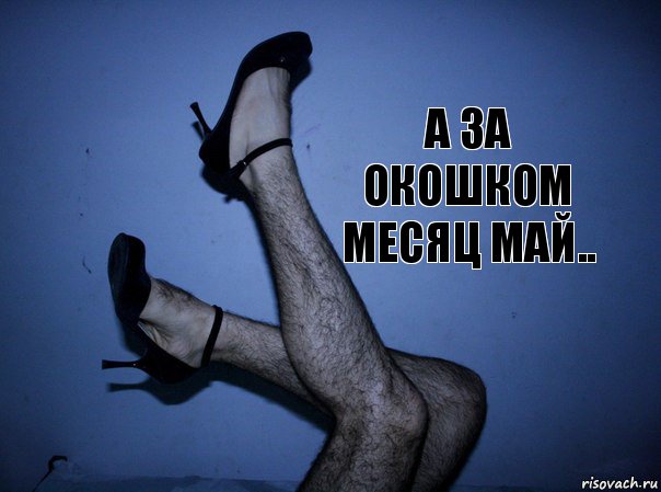 А за окошком месяц май.., Комикс адепт