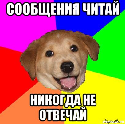 сообщения читай никогда не отвечай, Мем Advice Dog