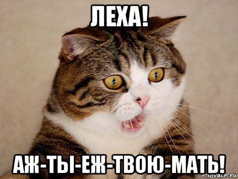 леха! аж-ты-еж-твою-мать!