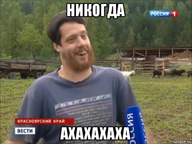 никогда ахахахаха