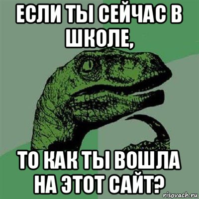 если ты сейчас в школе, то как ты вошла на этот сайт?, Мем Филосораптор