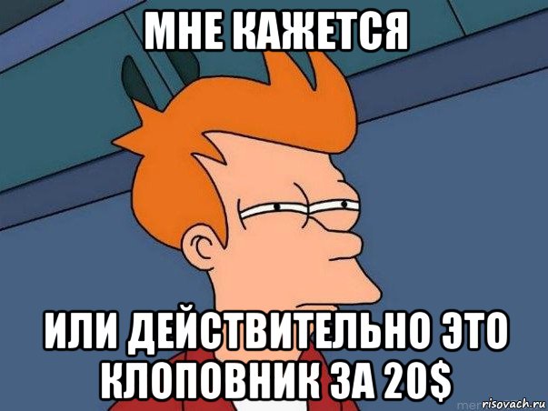 мне кажется или действительно это клоповник за 20$, Мем  Фрай (мне кажется или)