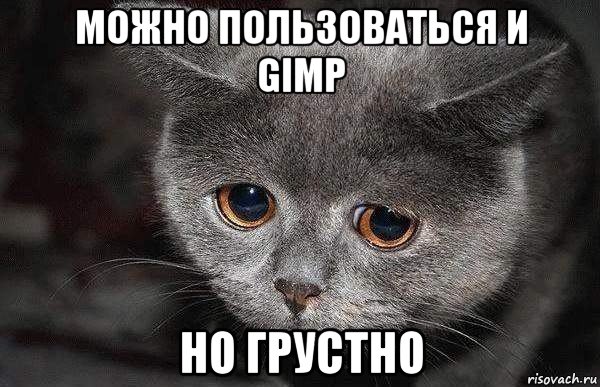 можно пользоваться и gimp но грустно, Мем  Грустный кот