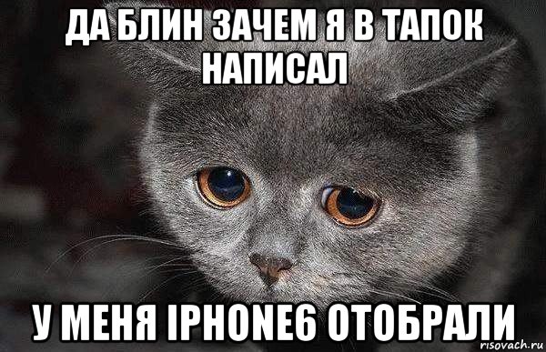 да блин зачем я в тапок написал у меня iphone6 отобрали, Мем  Грустный кот