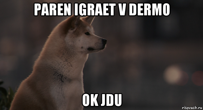 paren igraet v dermo ok jdu, Мем Хатико