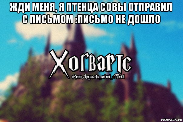 жди меня, я птенца совы отправил с письмом :письмо не дошло , Мем Хогвартс