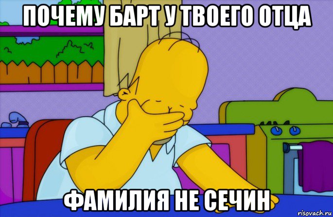 почему барт у твоего отца фамилия не сечин, Мем Homer simpson facepalm