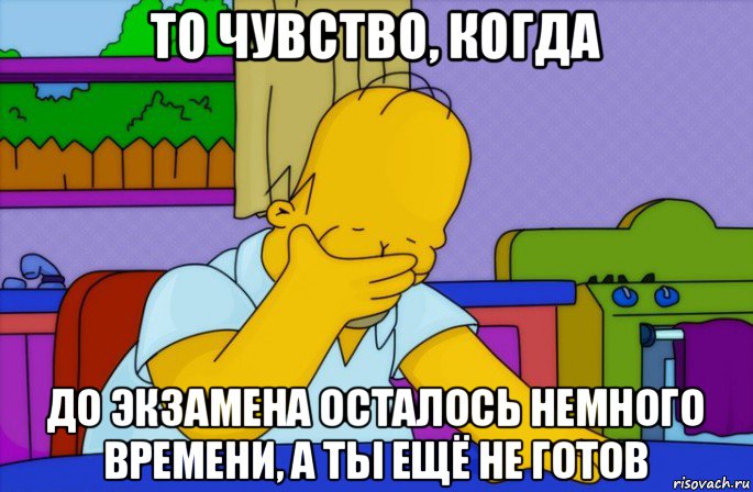 то чувство, когда до экзамена осталось немного времени, а ты ещё не готов, Мем Homer simpson facepalm