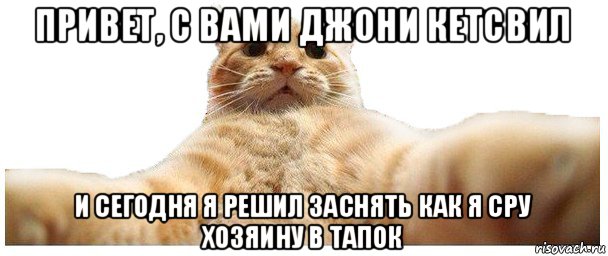 привет, с вами джони кетсвил и сегодня я решил заснять как я сру хозяину в тапок, Мем   Кэтсвилл