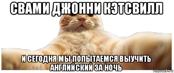 свами джонни кэтсвилл и сегодня мы попытаемся выучить английский за ночь, Мем   Кэтсвилл