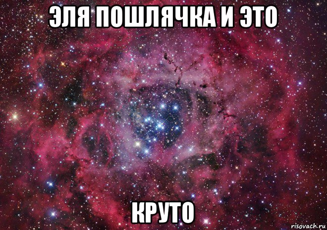 эля пошлячка и это круто, Мем Ты просто космос