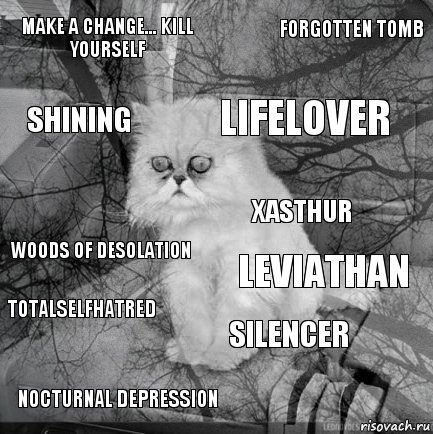 Make a Change... Kill Yourself Leviathan Lifelover Nocturnal Depression Woods of Desolation Forgotten Tomb Silencer Shining Totalselfhatred Xasthur, Комикс  кот безысходность