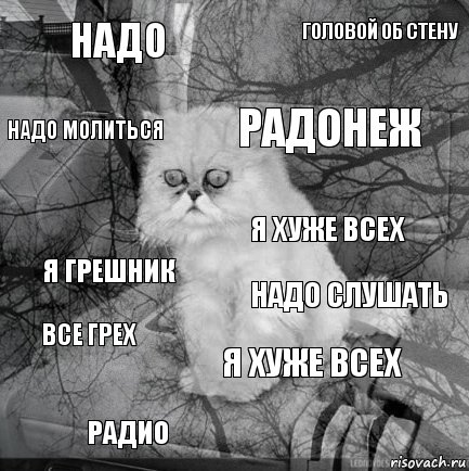 надо надо слушать РАДОНЕЖ радио я грешник головой об стену я хуже всех Надо молиться все грех я хуже всех, Комикс  кот безысходность