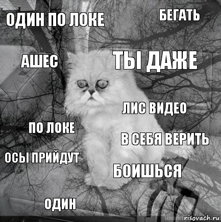 Один по локе В себя верить Ты даже Один по локе бегать Боишься Ашес ОСы прийдут Лис видео, Комикс  кот безысходность