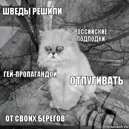 Шведы решили отпугивать российские подлодки от своих берегов гей-пропагандой     , Комикс  кот безысходность