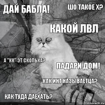 Дай бабла! Падари дом! какой лвл как туда даехать? А "кк" эт сколька? Шо такое Х? Как инт называетца?   , Комикс  кот безысходность