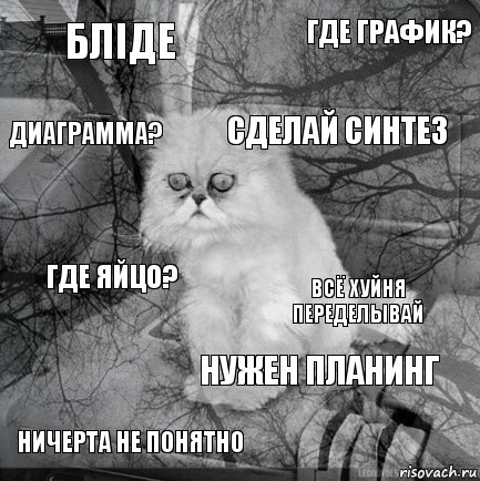 бліде Всё хуйня переделывай Сделай синтез Ничерта не понятно Где яйцо? Где график? Нужен планинг Диаграмма?  , Комикс  кот безысходность