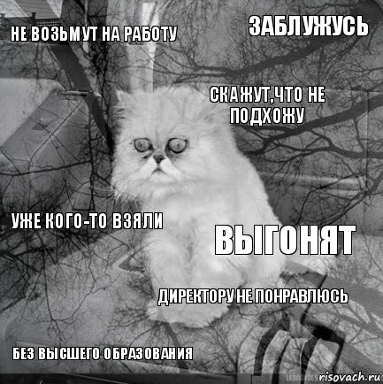 не возьмут на работу выгонят скажут,что не подхожу без высшего образования уже кого-то взяли заблужусь директору не понравлюсь   , Комикс  кот безысходность