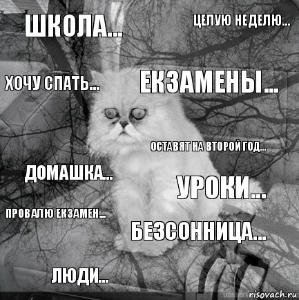 школа... уроки... екзамены... люди... домашка... целую неделю... безсонница... хочу спать... провалю екзамен... оставят на второй год..., Комикс  кот безысходность