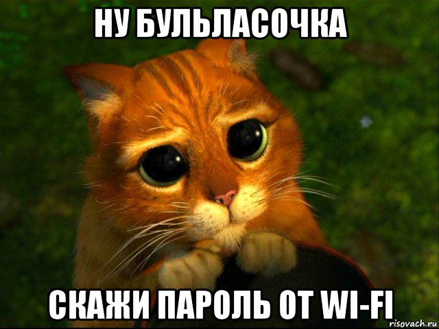 ну бульласочка скажи пароль от wi-fi