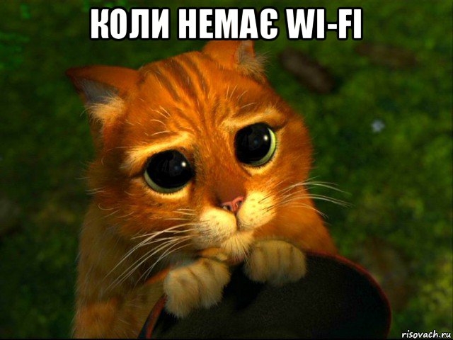 коли немає wi-fi , Мем кот из шрека