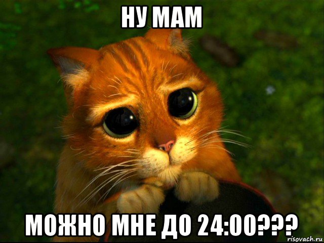 ну мам можно мне до 24:00???, Мем кот из шрека