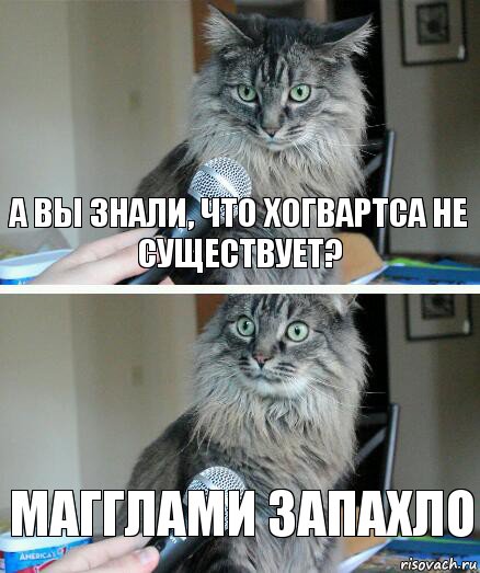 А ВЫ ЗНАЛИ, ЧТО ХОГВАРТСА НЕ СУЩЕСТВУЕТ? МАГГЛАМИ ЗАПАХЛО, Комикс  кот с микрофоном