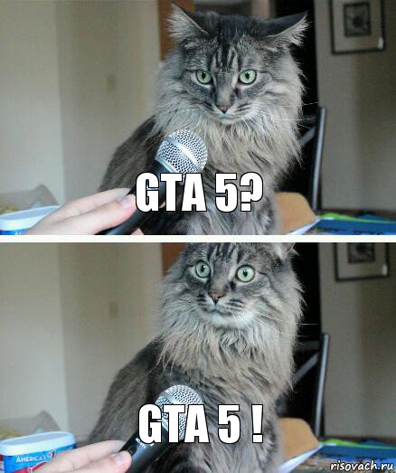 GTA 5? GTA 5 !, Комикс  кот с микрофоном