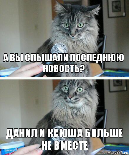 А вы слышали последнюю новость? Данил и Ксюша больше не вместе, Комикс  кот с микрофоном