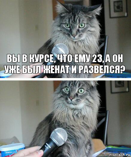 Вы в курсе, что ему 23, а он уже был женат и развелся? , Комикс  кот с микрофоном