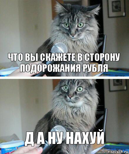 что вы скажете в сторону подорожания рубля Д А НУ НАХУЙ, Комикс  кот с микрофоном