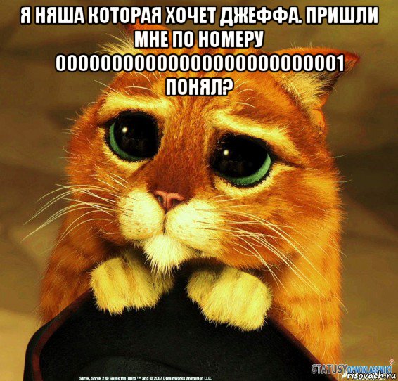 я няша которая хочет джеффа. пришли мне по номеру 00000000000000000000000001 понял? , Мем Котик из Шрека