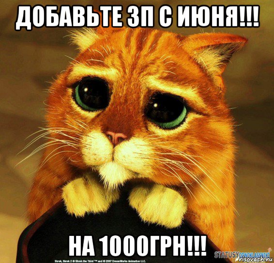 добавьте зп с июня!!! на 1000грн!!!, Мем Котик из Шрека