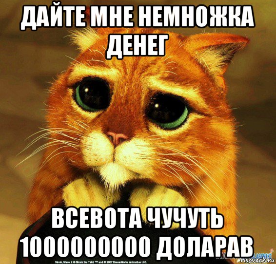 дайте мне немножка денег всевота чучуть 1000000000 доларав, Мем Котик из Шрека