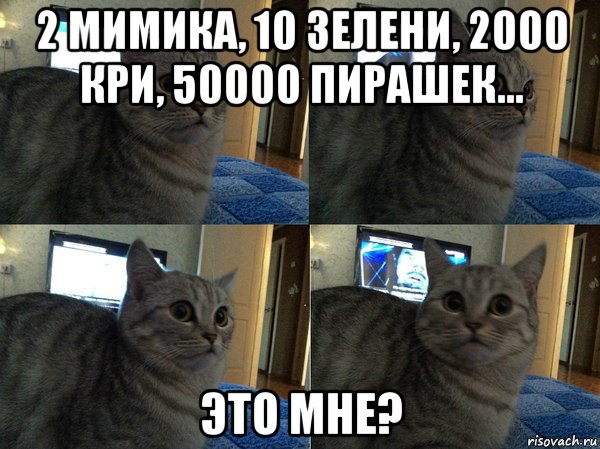 2 мимика, 10 зелени, 2000 кри, 50000 пирашек... это мне?, Мем  Кот в шоке