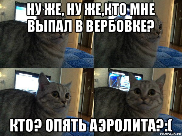 ну же, ну же,кто мне выпал в вербовке? кто? опять аэролита?:(, Мем  Кот в шоке