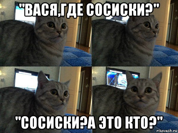 "вася,где сосиски?" "сосиски?а это кто?", Мем  Кот в шоке