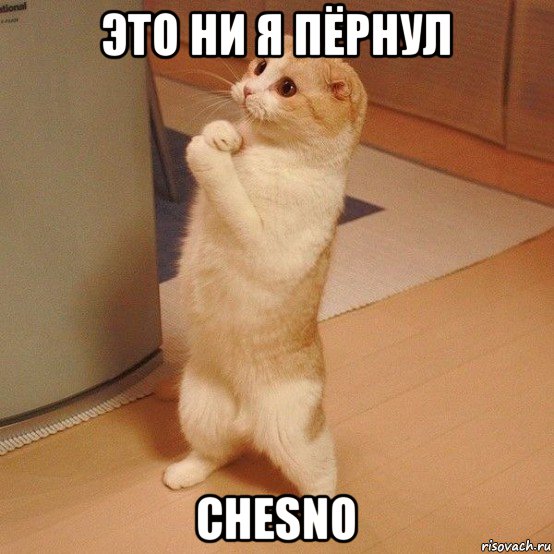 это ни я пёрнул chesno, Мем  котэ молится