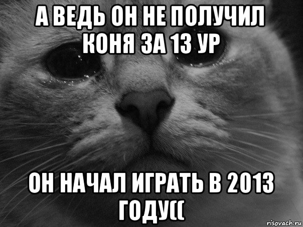 а ведь он не получил коня за 13 ур он начал играть в 2013 году((, Мем  котик