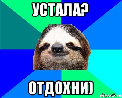 устала? отдохни), Мем Ленивец