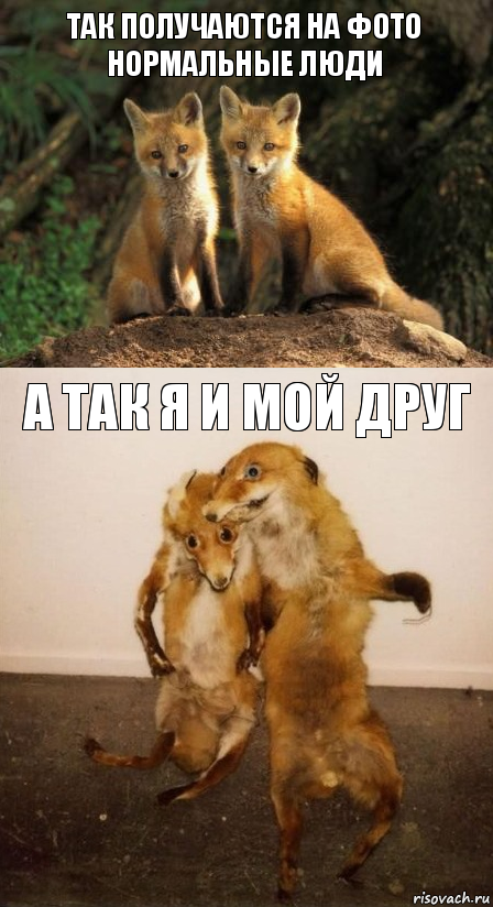 Так получаются на фото нормальные люди А так я и мой друг, Комикс Лисицы