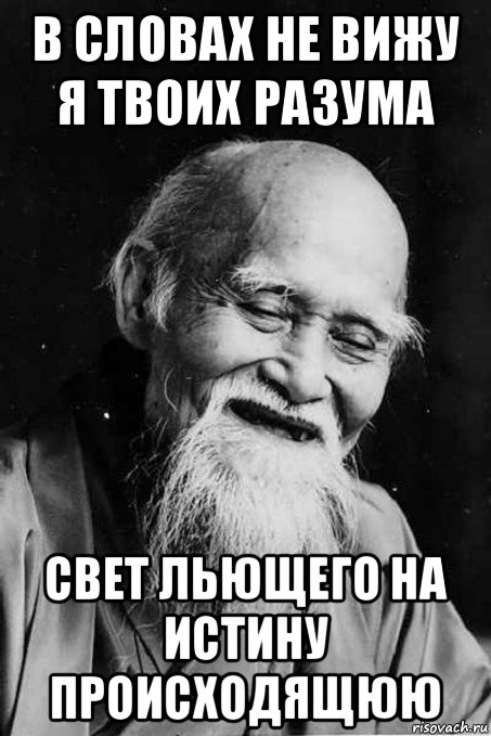 в словах не вижу я твоих разума свет льющего на истину происходящюю, Мем мудрец улыбается