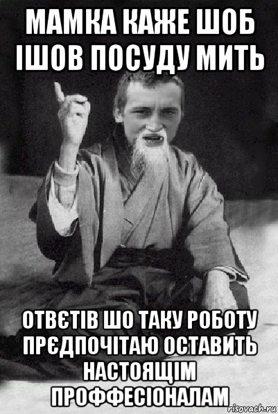 мамка каже шоб ішов посуду мить отвєтів шо таку роботу прєдпочітаю оставить настоящім проффесіоналам, Мем Мудрий паца