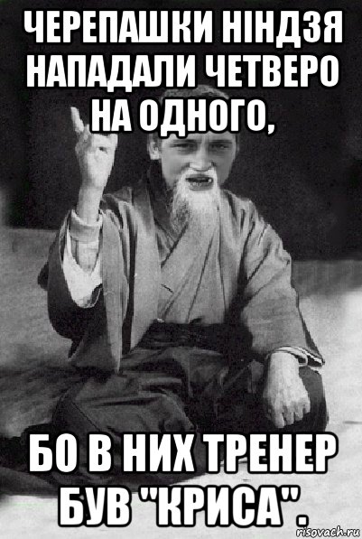 черепашки ніндзя нападали четверо на одного, бо в них тренер був "криса"., Мем Мудрий паца