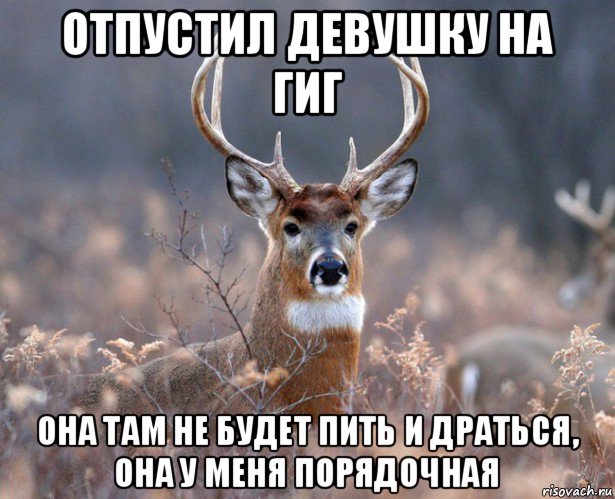 отпустил девушку на гиг она там не будет пить и драться, она у меня порядочная, Мем   Наивный олень