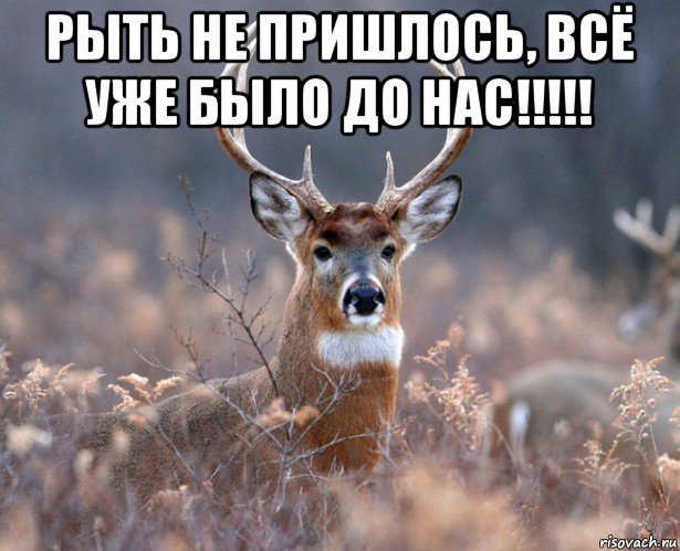 рыть не пришлось, всё уже было до нас!!!!! , Мем   Наивный олень