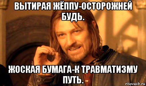 вытирая жёппу-осторожней будь. жоская бумага-к травматизму путь., Мем Нельзя просто так взять и (Боромир мем)