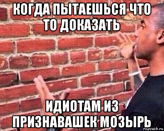 когда пытаешься что то доказать идиотам из признавашек мозырь