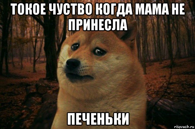 токое чуство когда мама не принесла печеньки, Мем SAD DOGE