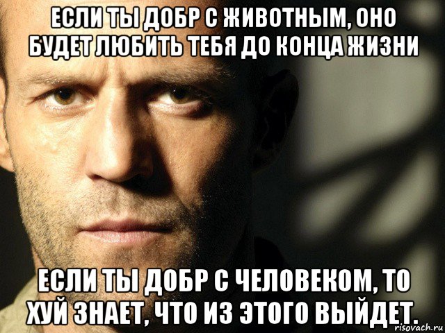 Никто не смог. Если ты добр с животным. Если добрый ты. Если ты добр с животным оно будет любить. Бомжи мемы Стетхем.